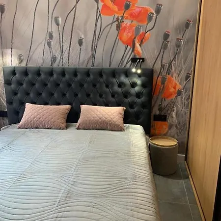 Apartment Na Olchowym Wzgorzu *