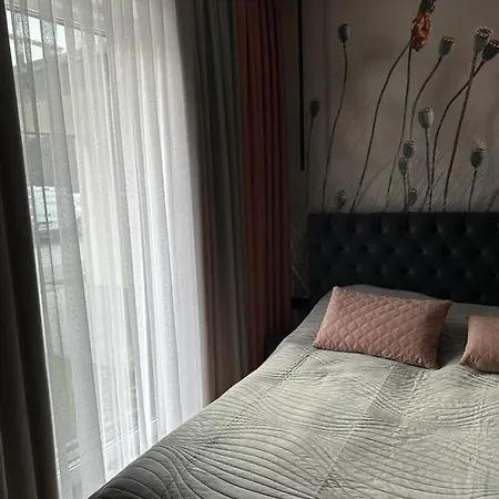 Apartment Na Olchowym Wzgorzu Ustron